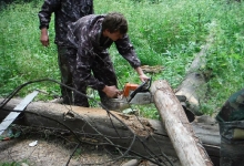 dscf0331.jpg