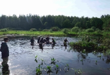 kva0706120.jpg