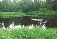 kva0706125.jpg