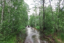 kva0706145.jpg