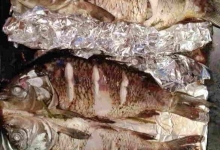 kva0706165.jpg